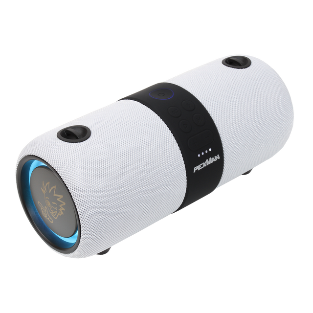 PEXMAN PM-10W