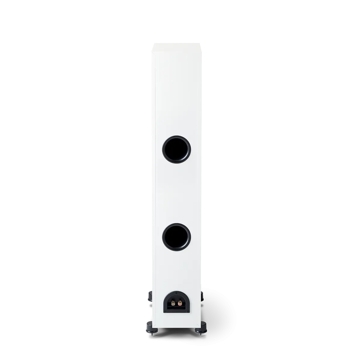 Paradigm Monitor SE 6000F, grindinė garso kolonėlė (įvairių spalvų)