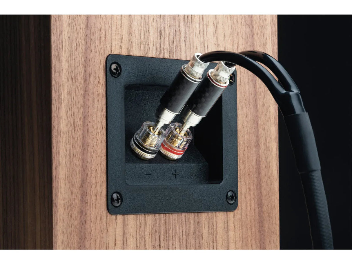 Pro-Ject Connect-it LS DS2 2,0m, garso kolonėlių kabelis - jungtys ir kabelis iš arti