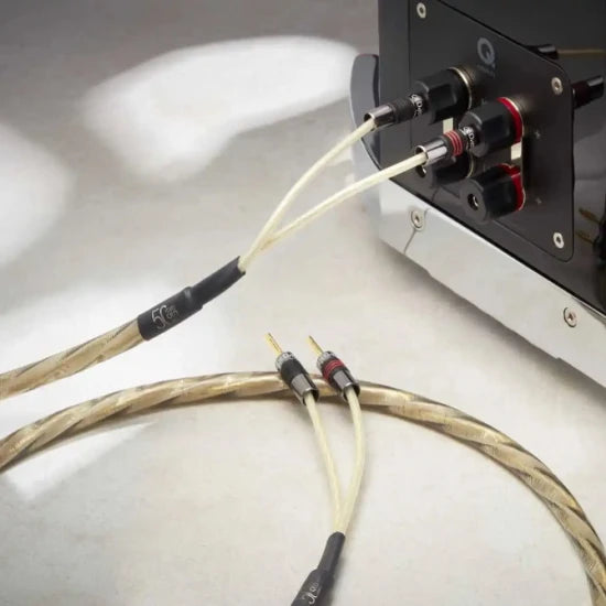 QED Golden Anniversary XT, kolonėlių kabelis