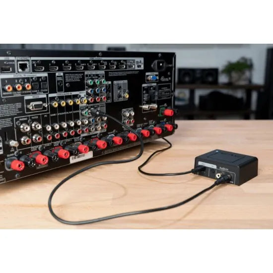SVS SoundPath Tri-Band Wireless Audio, bevielis imtuvas ir siųstuvas - galinė panelė su jungtimis ir laidais