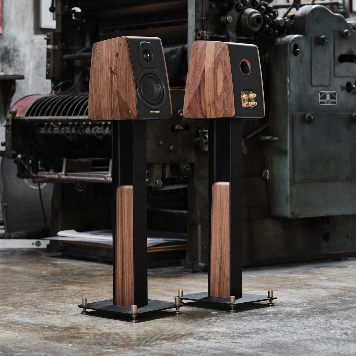 Sonus Faber CONCERTINO G4, lentyninė kolonėlė
