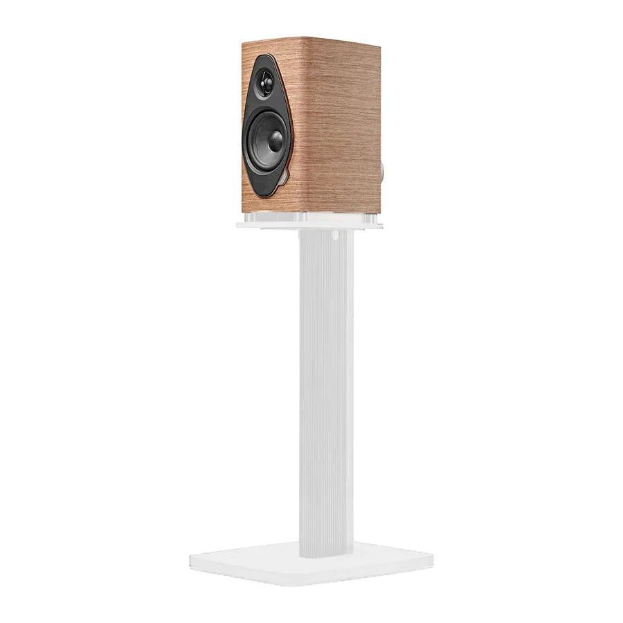 Sonus Faber SONETTO I G2, lentyninė garso kolonėlė - Medžio rašto garsiakalbio korpusas