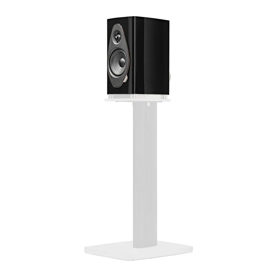 Sonus Faber SONETTO I G2, lentyninė garso kolonėlė - Juodas blizgus korpusas ant balto stovo