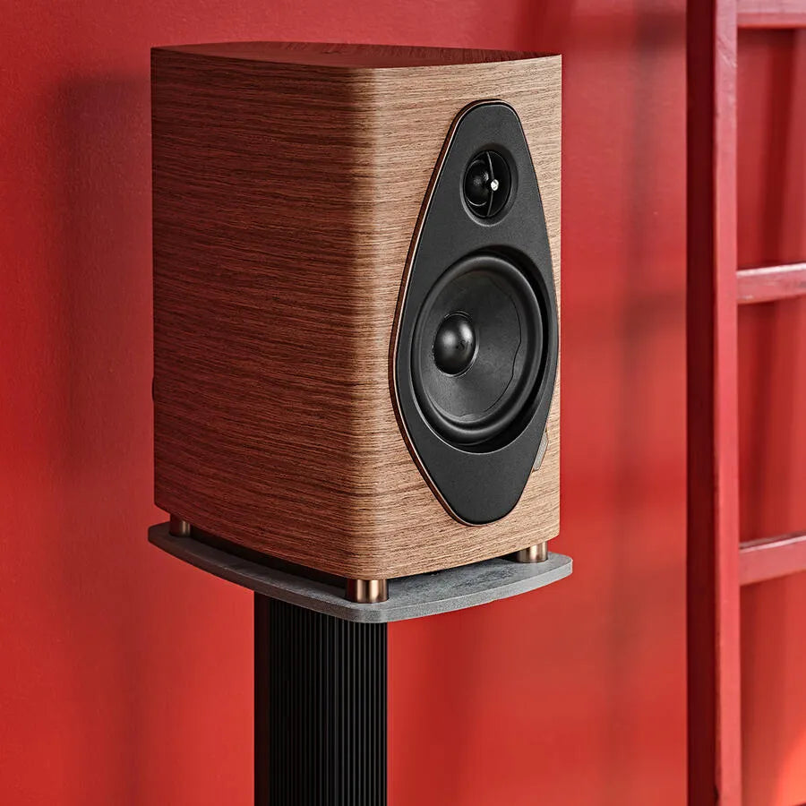 Sonus Faber SONETTO II G2, lentyninė garso kolonėlė - Šoninis vaizdas su medžio tekstūra