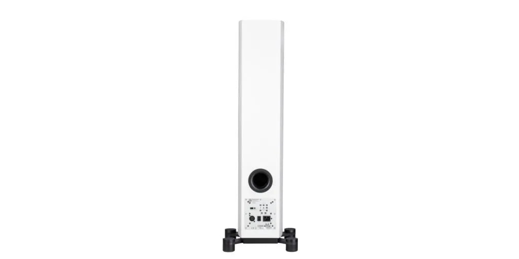 System Audio SA legend 40.2 silverback, grindinės garso kolonėlės - galinė panelė su jungtimis ir ventiliacijos anga