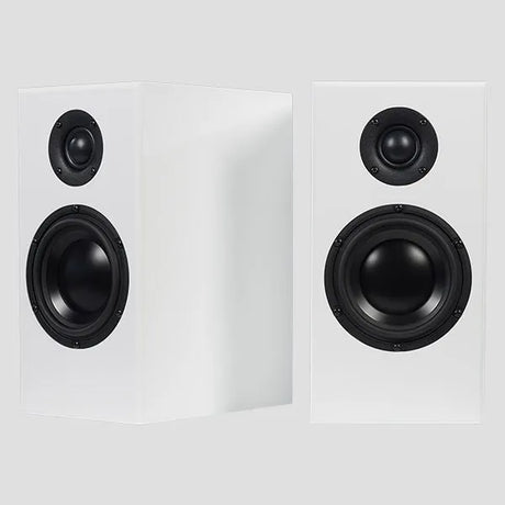 Totem Acoustic Bison Monitor, lentyninės garso kolonėlės (įvairių spal