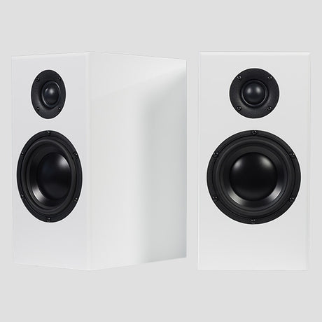 Totem Acoustic Bison Monitor, lentyninės garso kolonėlės (įvairių spalvų)