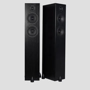 Totem Acoustic Bison Twin Tower, grindinės garso kolonėlės