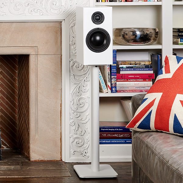 Totem Acoustic Bison Monitor, lentyninės garso kolonėlės (įvairių spalvų)