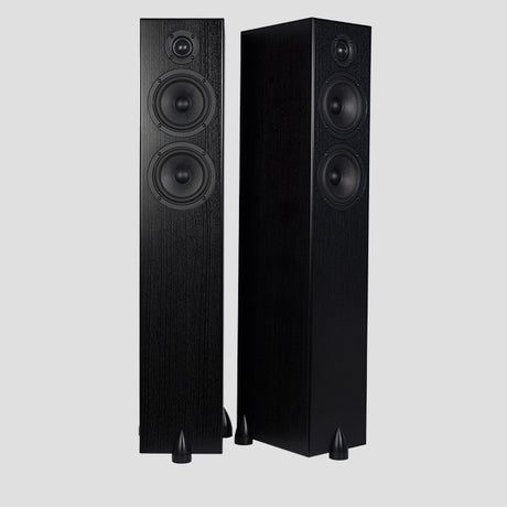 Totem Acoustic Bison Twin Tower, grindinės garso kolonėlės (įvairių spalvų)
