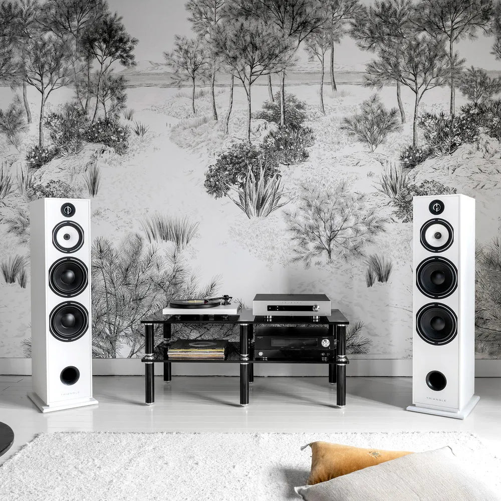 Triangle BOREA BR10, 3 juostų grindinės garso kolonėlės