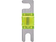 WF100M MINI ANL saugiklis, 100A