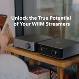 WiiM Vibelink Amp, stereo stiprintuvas su PFFB
