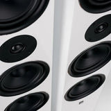 Wilson EXCLUSIVE LINE EL-10, grindinė garso kolonėlė (įvairių spalvų)