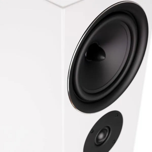 Wilson EXCLUSIVE LINE EL-10, grindinė garso kolonėlė (įvairių spalvų)