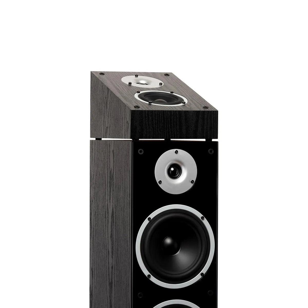 Wilson RAPTOR X, ATMOS kolonėlė (įvairių spalvų)