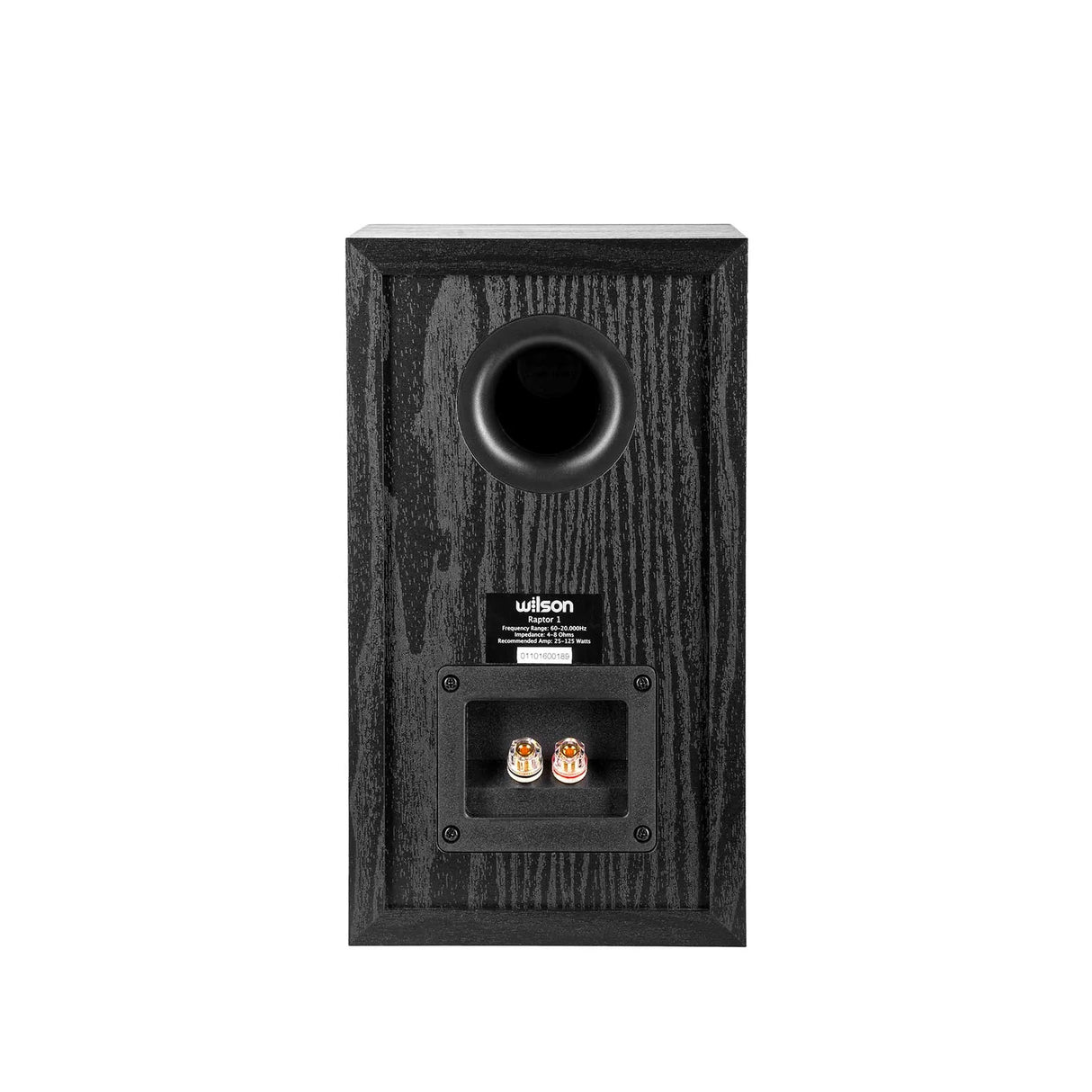 Wilson Raptor 1, lentyninė garso kolonėlė (įvairių spalvų)