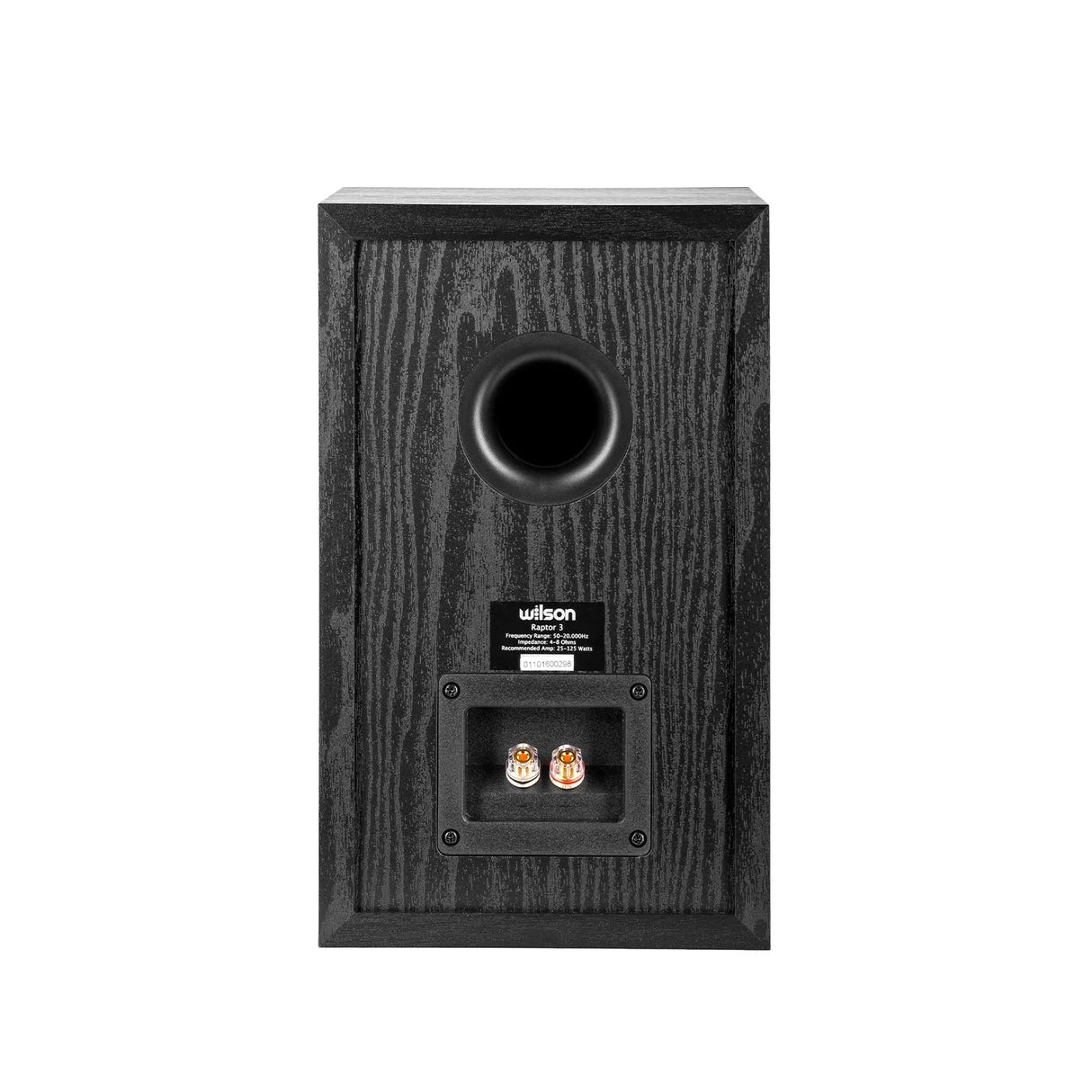 Wilson Raptor 3, lentyninė garso kolonėlė (įvairių spalvų)