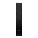 Wilson Raptor 9, grindinė garso kolonėlė (įvairių spalvų)