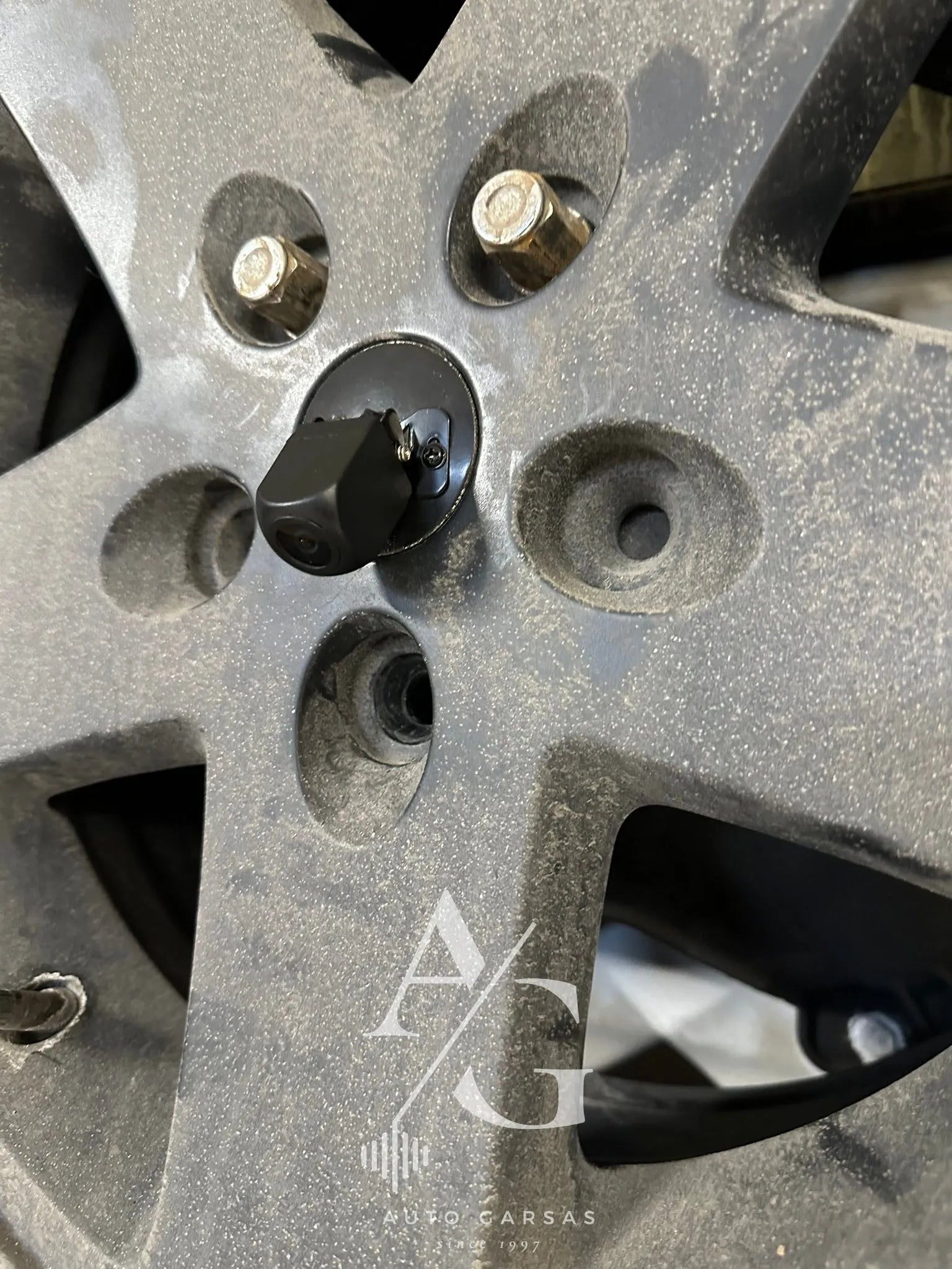 Wrangler, galinė vaizdo kamera + CarPlay ekranas