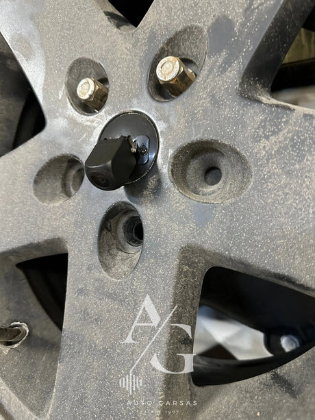 Wrangler, galinė vaizdo kamera + CarPlay ekranas