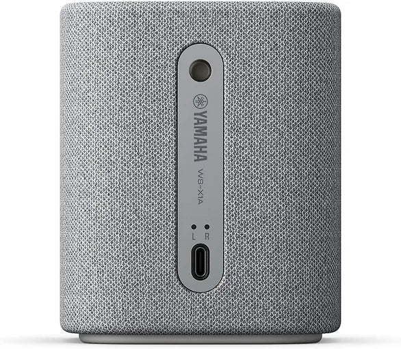 Yamaha WS-X1ALGY - Galinė panelė su USB-C jungtimi
