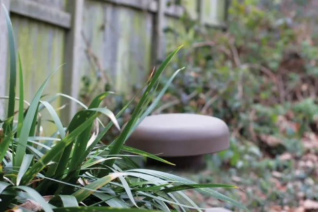 Žemų dažnių kolonėlė skirta laukui Monitor Audio Climate Garden CLG-W12