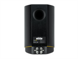 ARCAM R25, lentyninės garso kolonėlės