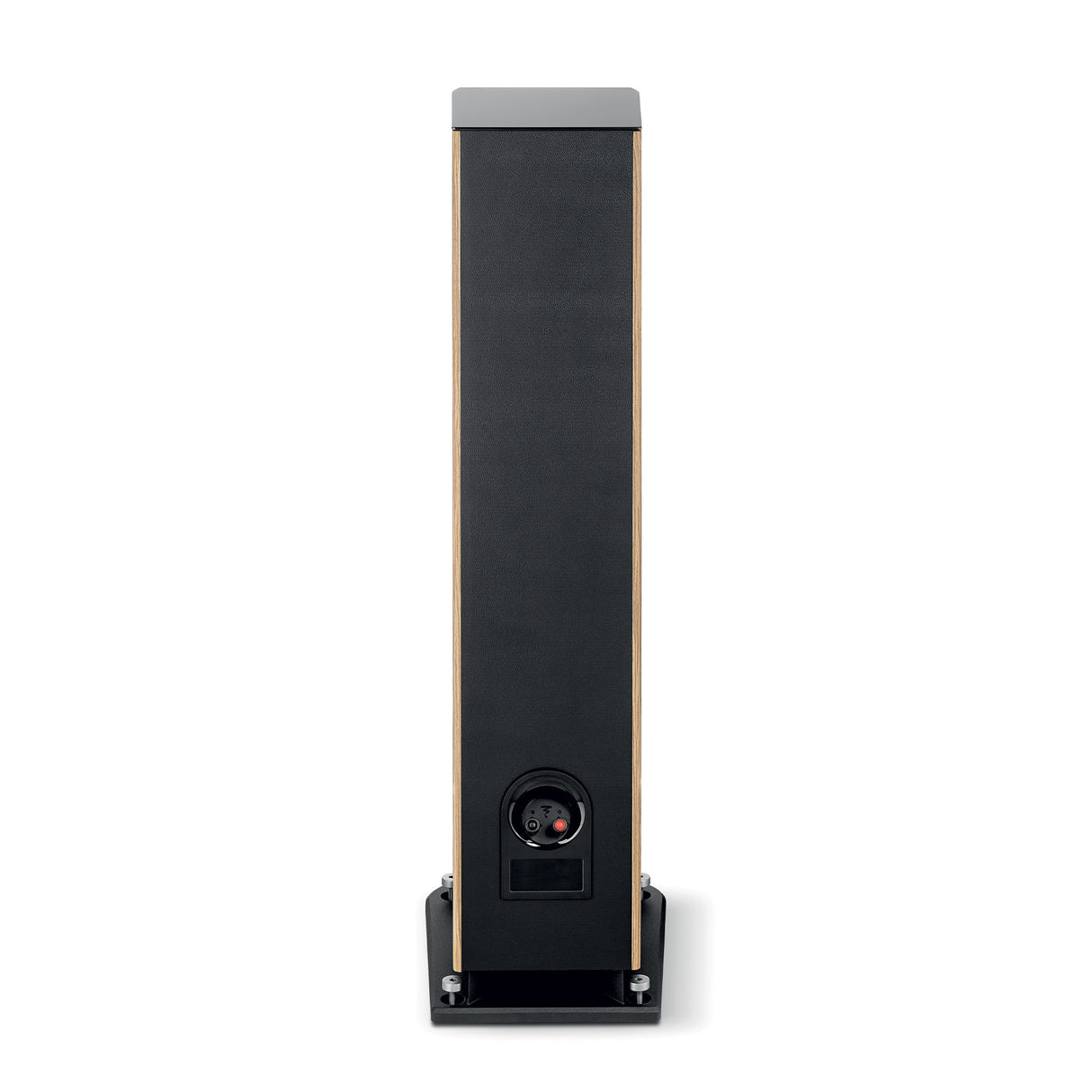 Focal ARIA EVO X N°2, Grindinė kolonėlė (įvairių spalvų)