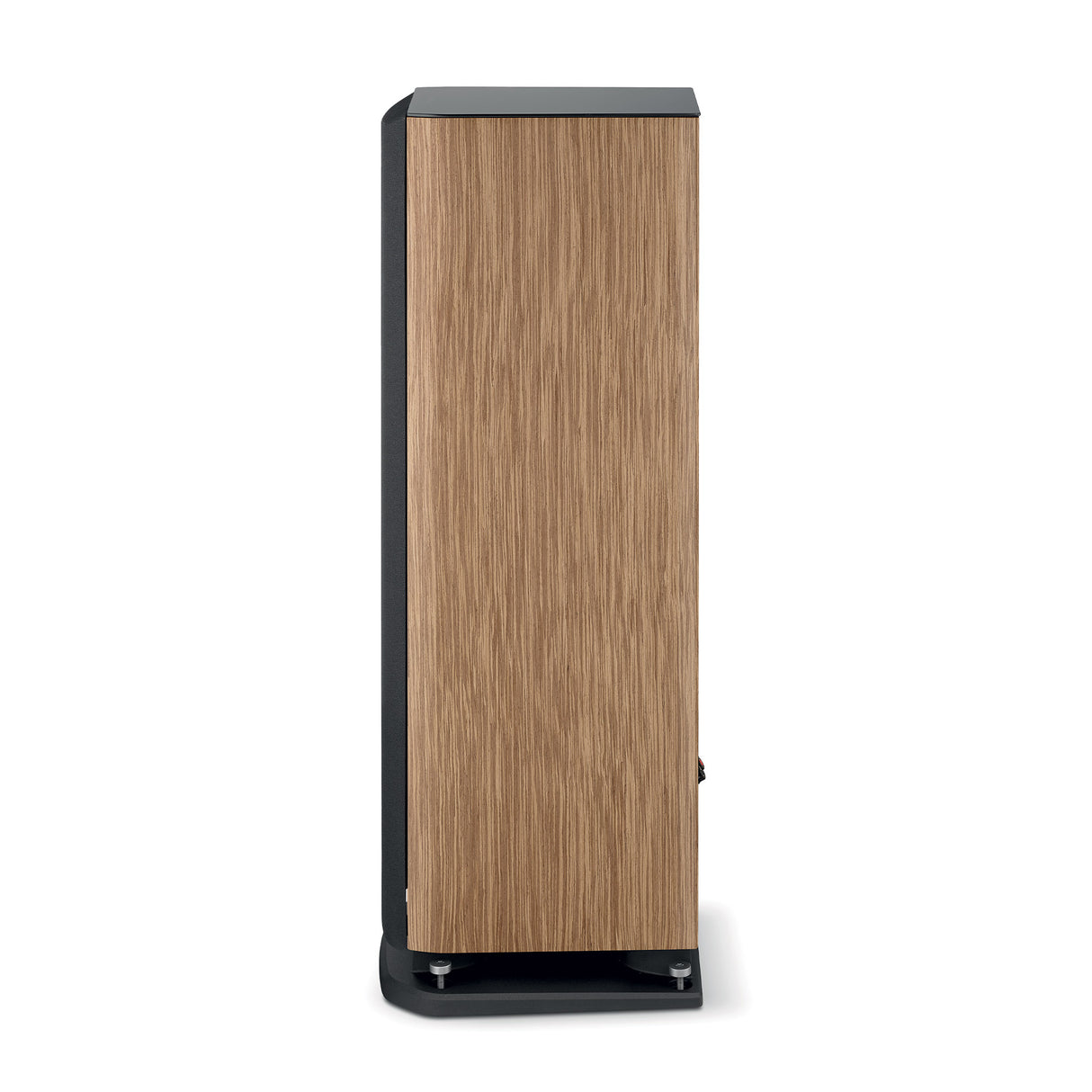 Focal ARIA EVO X N°2, Grindinė kolonėlė (įvairių spalvų)