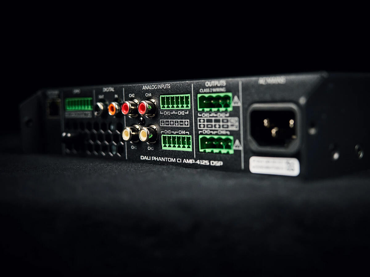 Dali PHANTOM CI AMP-4125 DSP, integruotas stiprintuvas - Analoginiai ir skaitmeniniai įėjimai