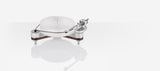 Clearaudio Innovation Compact, patefonas