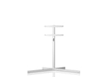 Loewe Floor Stand Motor Stellar, motorizuotas grindinis televizoriaus stovas