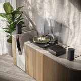 Loewe MULTI.ROOM AMP, 2-ių kanalų stereo stiprintuvas