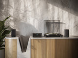 Loewe MULTI.ROOM AMP, 2-ių kanalų stereo stiprintuvas