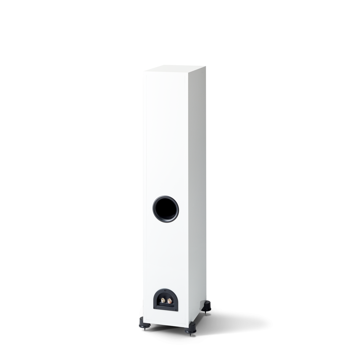 Paradigm Monitor SE 3000F, grindinė garso kolonėlė (įvairių spalvų)- galas