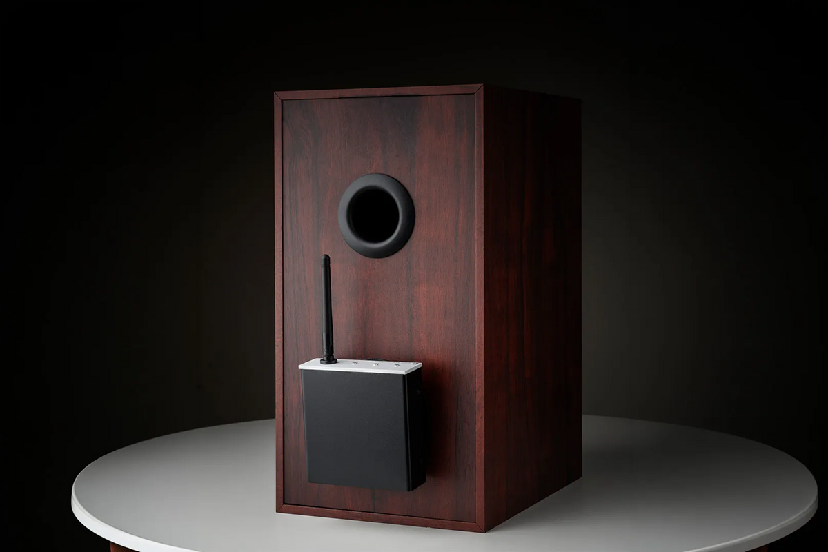 Pro-Ject Wireless Box E, belaidis tinklo stiprintuvas
