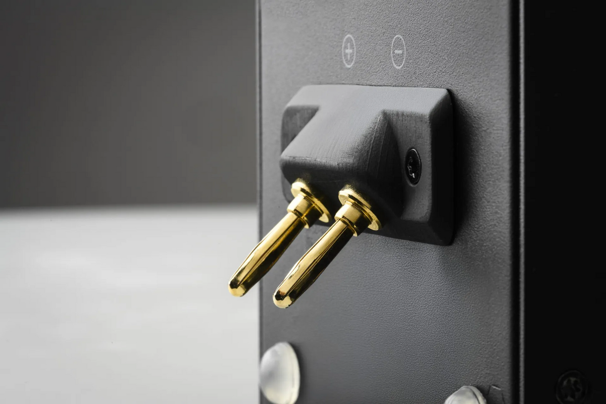 Pro-Ject Wireless Box E, belaidis tinklo stiprintuvas
