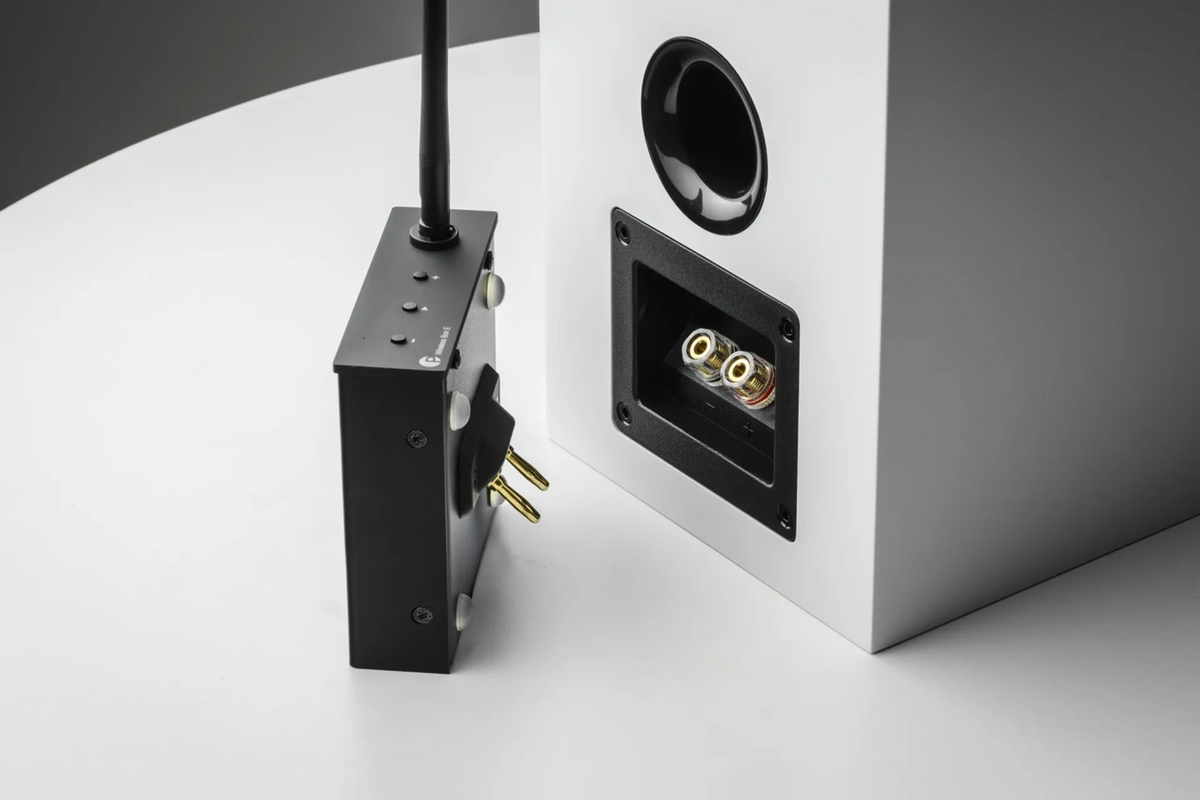 Pro-Ject Wireless Box E, belaidis tinklo stiprintuvas