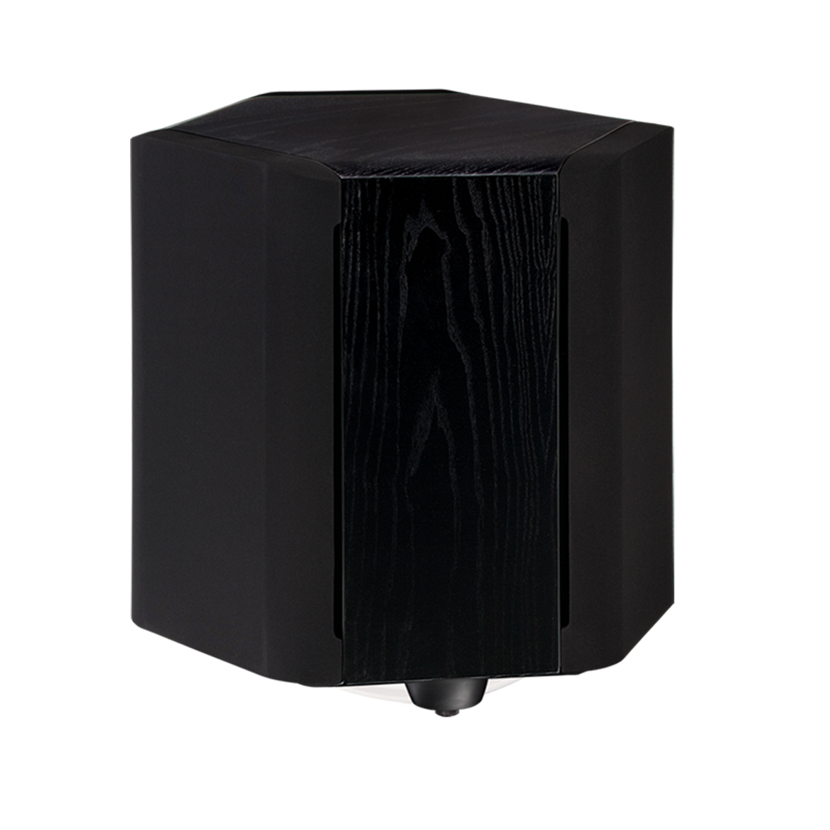 Paradigm Signature SUB 2, žemų dažnių garso kolonėlė (įvairių spalvų)- juodas medis