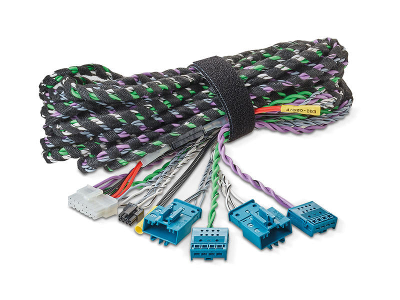 FOCAL IW-IMP 2.1, jungčių kabeliai