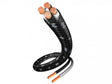 In-Akustik EXELLENZ LS-40 2 x 5,0 mm2 (4 x 2,5mm2), kolonėlės kabelis