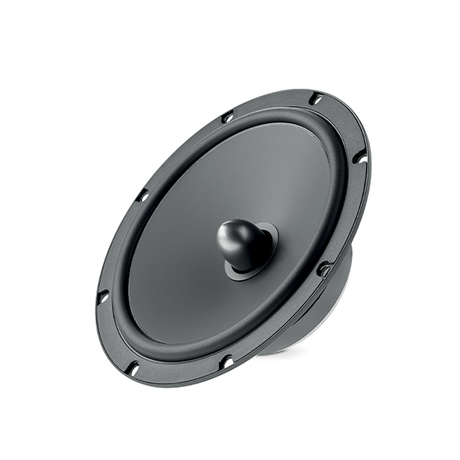 Focal ASE 165 S, Automobilinių garsiakalbių sistema