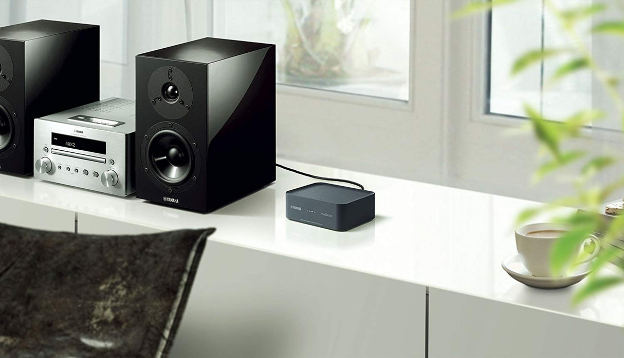 Tinklo grotuvas Yamaha MusicCast WXAD-10, WiFi, Bluetooth®, interneto radijas Tinklo grotuvai Yamaha AUTOGARSAS.LT