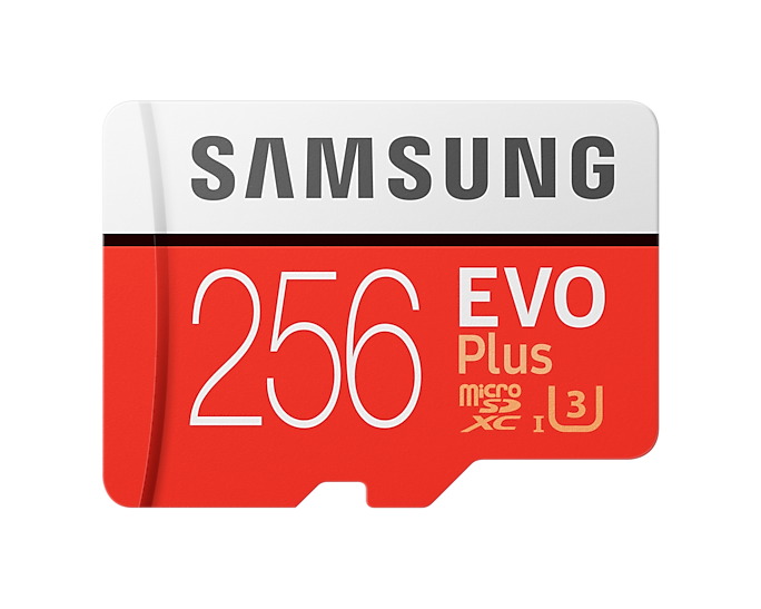 Samsung  EVO Plus MicroSD 256GB atminties kortelė