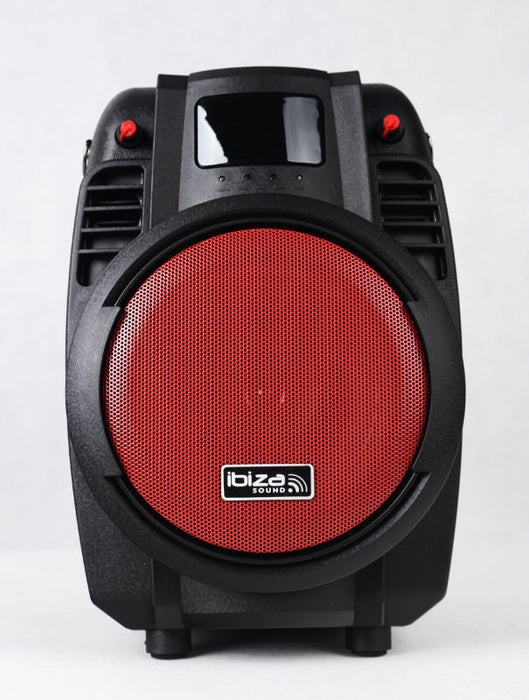 Nešiojama garso sistema Ibiza-Sound POWER6-PORT, USB, AUX, Bleutooth, 50W Kolonėlės Ibiza AUTOGARSAS.LT